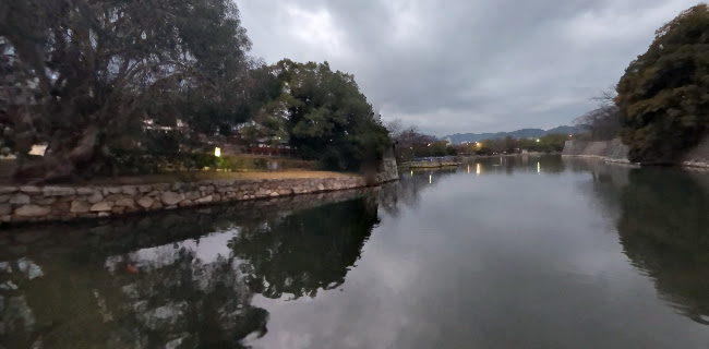 Comentarii opinii despre The Source