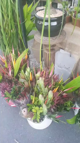 Kawana Waters Farmers Markets - Birtinya