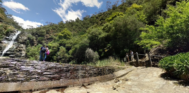 170 Waterfall Gully Rd, Waterfall Gully SA 5066