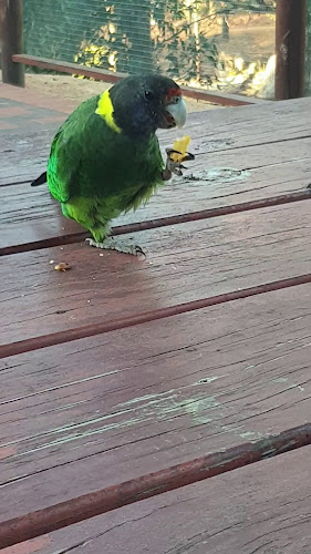 John Forrest Tavern - Hospitality and gastronomy