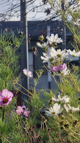 AB Bakery - Abdallah Brothers Bakery Dandenong