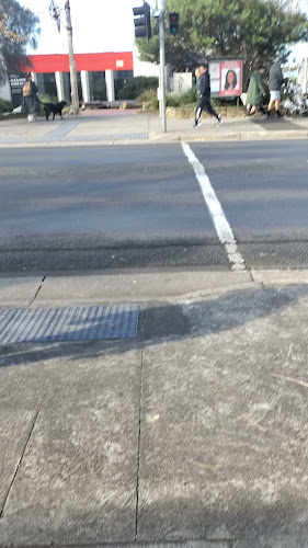 WoodHouse Cafe - Hospitality and gastronomy