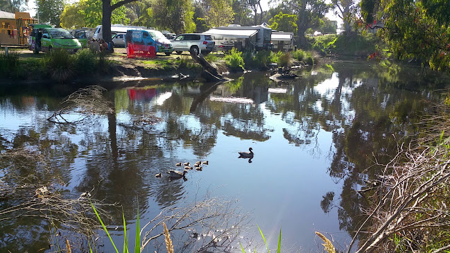 Comentarii opinii despre Riverbank Cafe