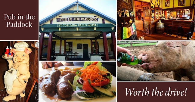 Pub in the Paddock - Hospitality and gastronomy