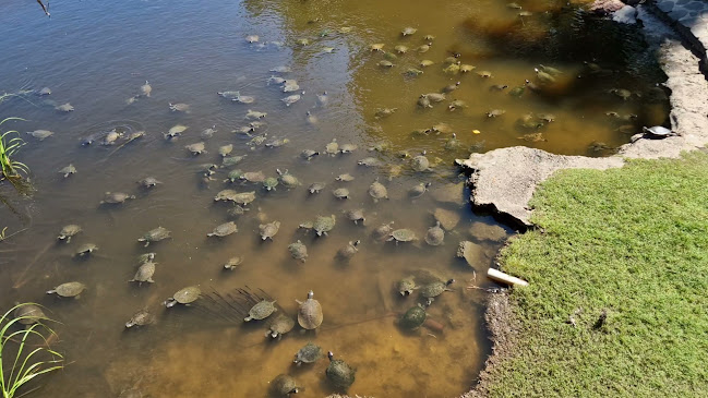 Kondari Hotel - Hospitality and gastronomy