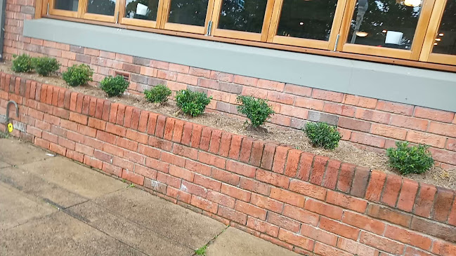 Drake and Duck Cafe - Hospitality and gastronomy