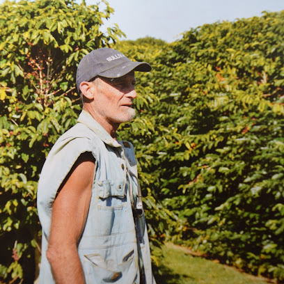 Mark Bullivant Coffee