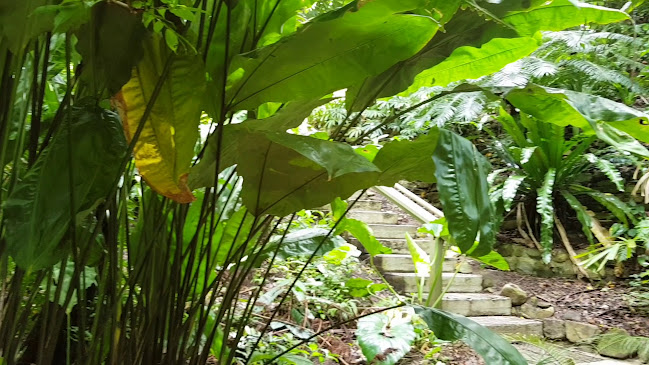 Botanic Gardens Restaurant & Cafe - Cairns City