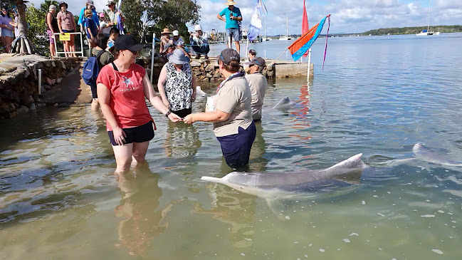 Norman Point, Tin Can Bay QLD 4580