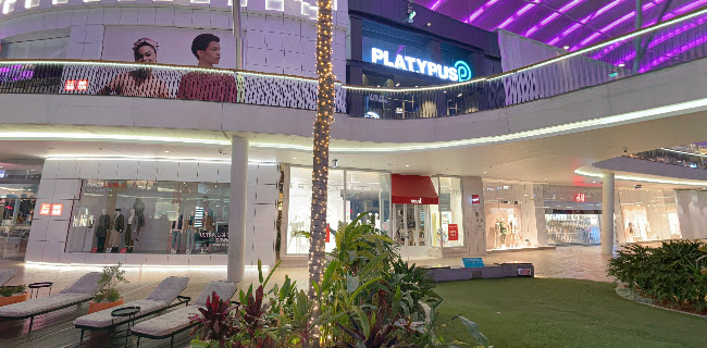 Doughnut Boss Pacific Fair