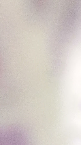 Maca's Takeaway - Hospitality and gastronomy