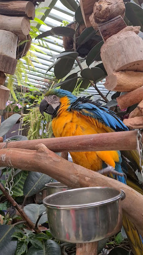 The Potting Shed at The Grounds - Hospitality and gastronomy