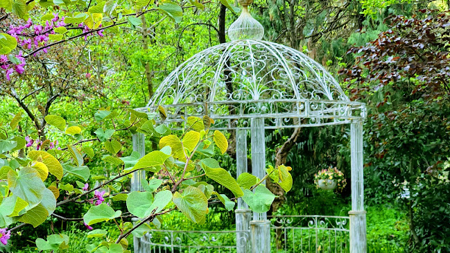 Opinii despre Yarralumla Gallery and Oaks Brasserie în Yarralumla - Hospitality and gastronomy