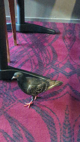 640 Stanley St, Woolloongabba QLD 4101