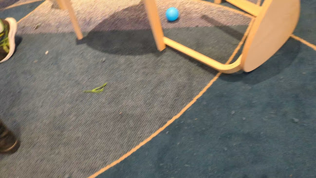 Camp Hill Hotel - Hospitality and gastronomy