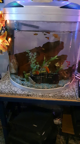 Tinh & Lan Alice - Hospitality and gastronomy