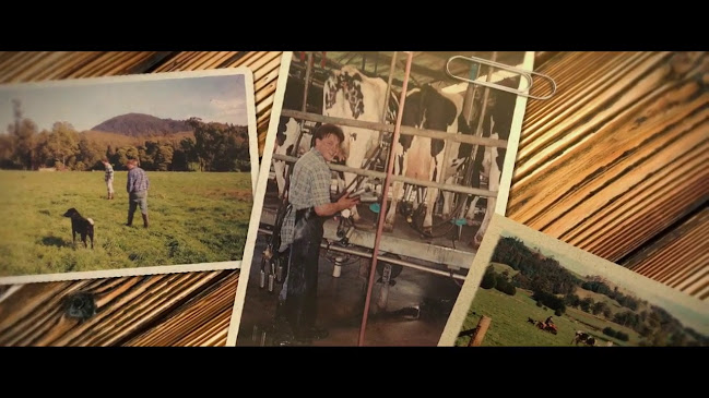 Opinii despre Gelista în Ridleyton - Hospitality and gastronomy