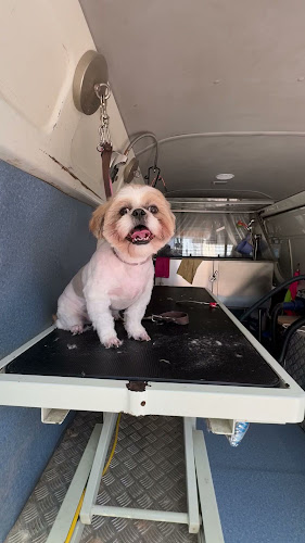 Opinii despre The Quarie Bar & Brasserie în Perth - Hospitality and gastronomy