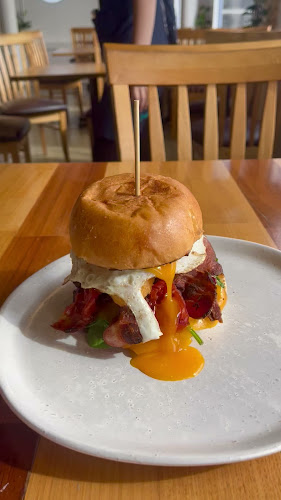 Starfish - Batemans Bay