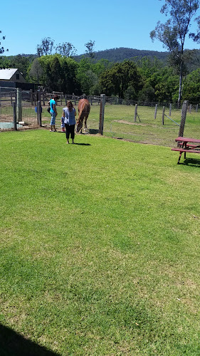 The Golden Dog Hotel - Sydney