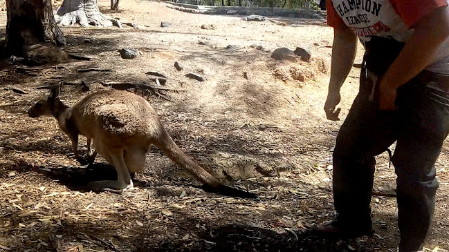 Comentarii opinii despre John Forrest Tavern