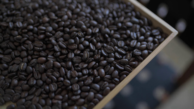 Pogo Coffee Roasters