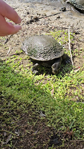 49-63 Elizabeth St, Urangan QLD 4655