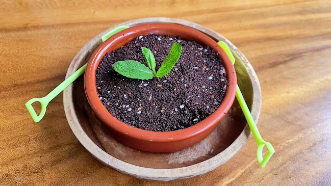 Doko Demo V - Hospitality and gastronomy