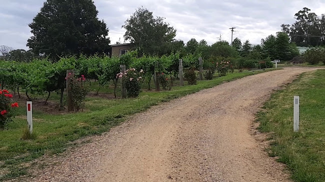 Opinii despre Borrodell Vineyard, Cellar Door & Wedding Venue în Orange - Hospitality and gastronomy