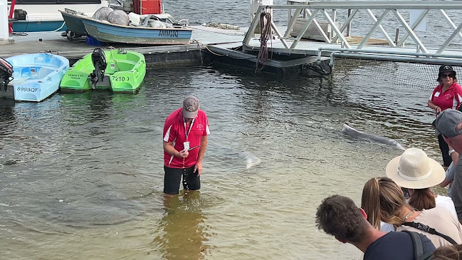 Barnacles - Brisbane