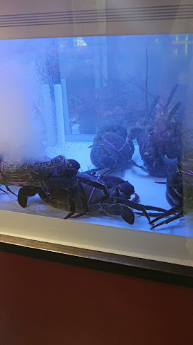 85 Dundas Pl, Albert Park VIC 3206