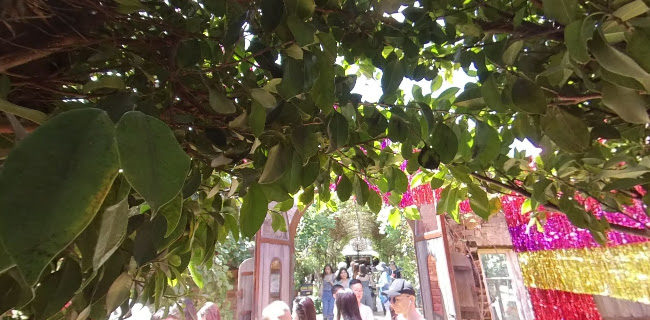 Comentarii opinii despre The Potting Shed at The Grounds