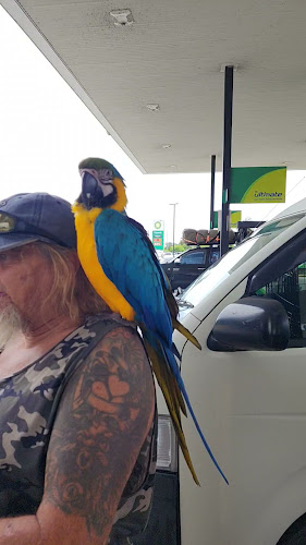 Opinii despre McDonald's Ballina Travel Centre în Ballina - Hospitality and gastronomy