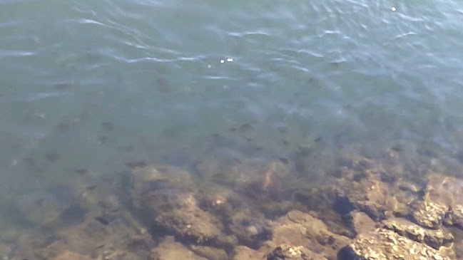 Comentarii opinii despre La Promenade Cafe