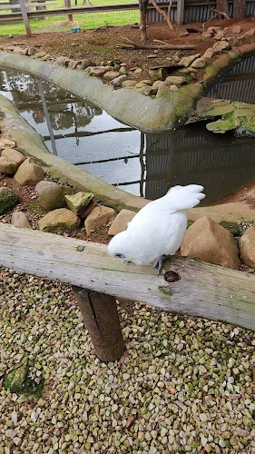 Old Bakery Stone Hut - Adelaide