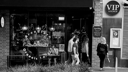 Little Fern on Regent