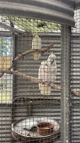 Opinii despre The Old Marron Farm în Perth - Hospitality and gastronomy