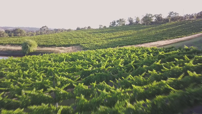 Opinii despre Maximilians Restaurant în Adelaide - Hospitality and gastronomy