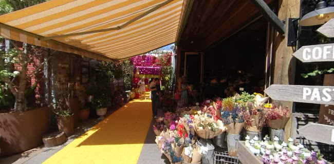 41/43 Bourke Rd, Alexandria NSW 2015