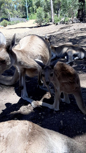 Park Rd, Glen Forrest WA 6071