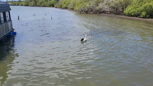 The Big Oyster & Seafood