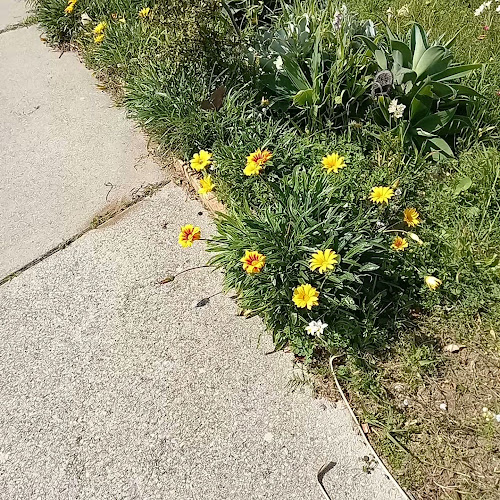 Captain Stirling Hotel - Hospitality and gastronomy