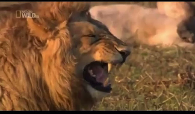 Koffeez - Hospitality and gastronomy