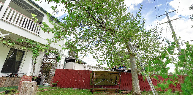 Opinii despre The Robin Hood Inn în Melbourne - Hospitality and gastronomy