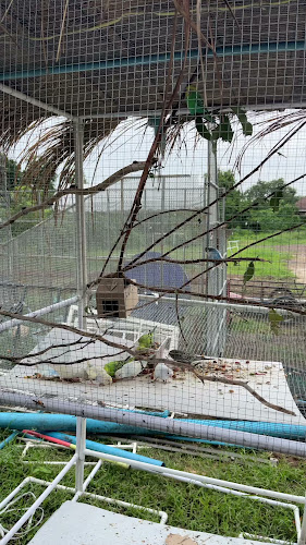 Hungry Jack's Burgers Burwood (VIC) - Burwood