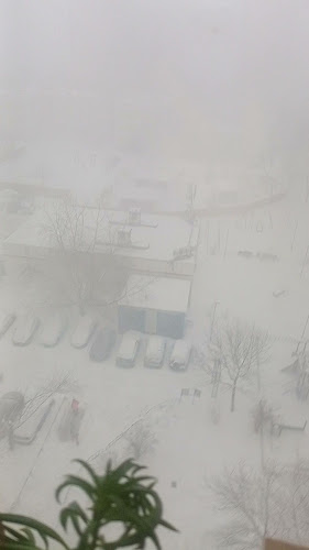 27 Saville St, Broome WA 6725