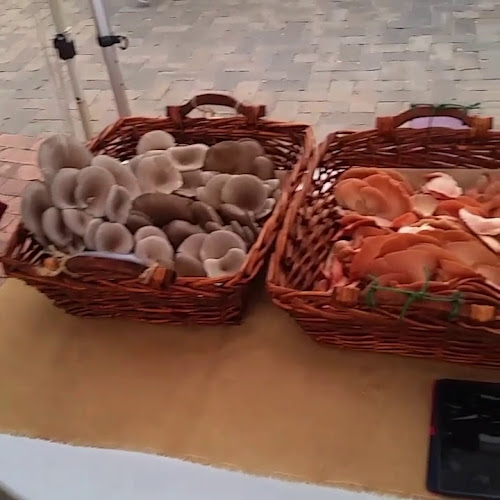 High School, Main Rd, Willunga SA 5172