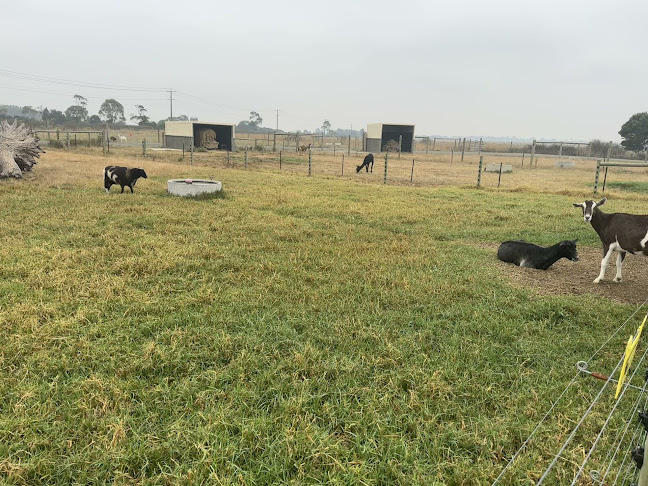 Caldermeade Farm & Cafe - Hospitality and gastronomy