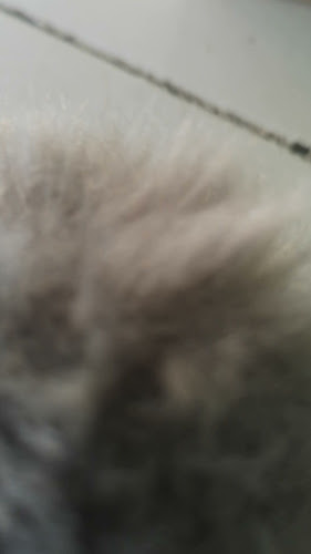 Rockpool Pavilion - Hospitality and gastronomy