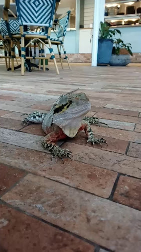 Comentarii opinii despre The Glen Hotel